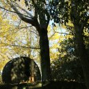 신례초등학교 병설유치원 이미지