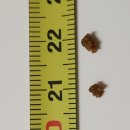 아산온가족의원 이미지