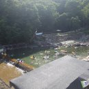 지리산정자나무펜션 이미지