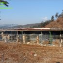 한반도면-1 이미지