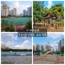 수지체육공원 농구장 이미지