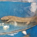 중국마트 이미지