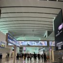 인천공항 마티나 골드라운지 후기/ 대한항공 특별 기내식 사전신청_씨푸드,저염식 후기