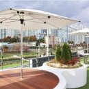 노부스테라 이미지