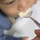 아이들 건강 식단 치트키! 라라마켓 '베이비 리마빈' 솔직 후기 (밥 &amp; 요거트 활용법)
