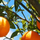 전인병원 이미지