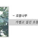 군산금광초등학교 이미지