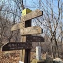 주막촌이가 이미지