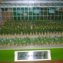 맛디아농장 이미지