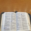 시편카페 이미지