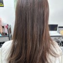 내동초등학교 | 대전 내동 미용실 / '엘샤론미용실' 레이어드컷 후기