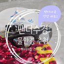 팬더호텔 | 미러수경 하비터틀 수영안경 팬더수경 리조트 물놀이수경 추천