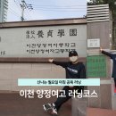 이천교육청사거리~이천사거리 이미지