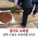 용인로뎀파크교회(4종) | 경기도 수목장 선택 시 필수 주의사항 5가지