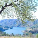 하늘소리목장 이미지