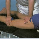 (치료)Hip joint ventral gliding(extension)+external rotation 이미지