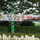 회산백련지 잔디광장 이미지