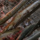한국인의 밥상 - 세종특별자치시 | 한국인의 밥상