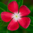 제플린실용음악학원 | 실용음악학원 제플린실용음악학원 경산 사정동 가격 후기