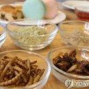 큐리농장 이미지