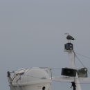 봄을 그리다 이미지