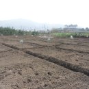 학전농장 이미지