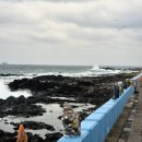 농협 강서농협양사지점 | [제주 뚜벅이여행 1편] 파라타항공, 제주공항 버스, 1인 숙소, 오메기떡, 함덕해수욕장 | 나의 첫 혼자...