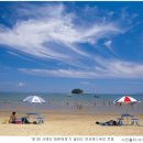 연포해수욕장(송림) 이미지