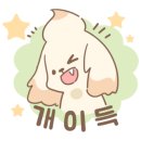 더예쁜핏