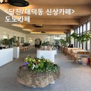 당진 도노카페 꽃집이 함께하는 아늑한 대형카페