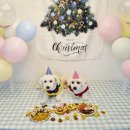 도그야미 이미지