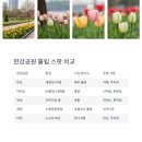 뚝섬한강공원-63 이미지