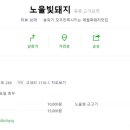 노을빛돼지 이미지