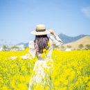 송학동행정복지센터 이미지