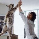 동판교로 이미지