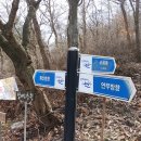 소룡약수터 Daum카페