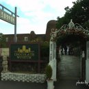 초콜릿 박물관 이미지