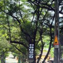 금정-13 | [부산 금정산성] 천하대장군집 : 금정산성 백숙 맛집에서 엄마와 초복 보양식 제대로 즐긴 솔직 후기 🐔