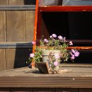 신포마을 이미지