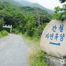 간월산자연휴양림 이미지
