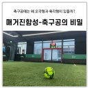 축구공(함성) 이미지