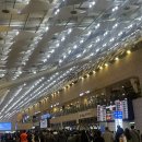 제주여행 우진해장국 기다리면서 먹은것들 (우무-남문당-도주제)
