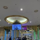 강원약국 | 강원랜드 입장료, 주차 등 방문 후기