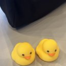 오리게임랜드 이미지