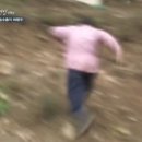 여수봄날엔