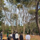 동심유치원 | [육아 일상] 배곧 유치원 좋은키즈스쿨 학부모 참여수업 / 아이랑 갈만한곳 / 인천대공원에서 관모산...