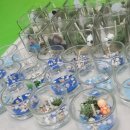 효신태권도장 이미지