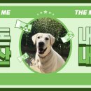 강남987호텔 이미지