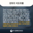 용인죽전 24시 스카이동물메디컬센터 이미지