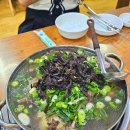 노을백숙 | 영등포 토박이가 알려준 찐맛집, 문래 능이버섯백숙 웨이팅·예약·오리백숙맛집 후기